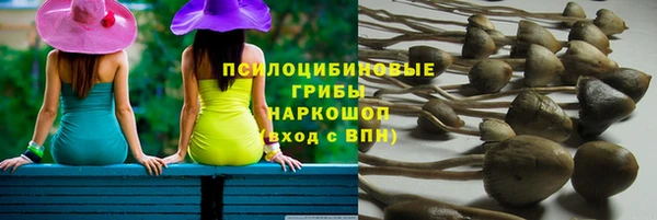 ешки Армянск