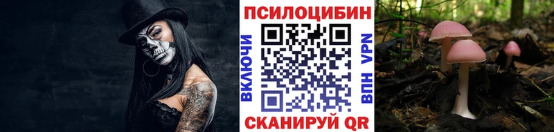 Галлюциногенные грибы Cubensis  Строитель 